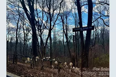 000 Rambling Ridge Road #16, Asheville, NC 28804 - Photo 16