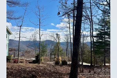 000 Rambling Ridge Road #16, Asheville, NC 28804 - Photo 2