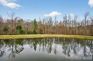 9419 Glenburn Ln, Charlotte, NC 28278 - Photo 40