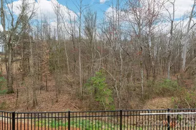 1035 Chalet Lane, Fort Mill, SC 29707 - Photo 46