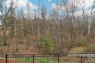 1035 Chalet Ln, Fort Mill, SC 29707 - Photo 46