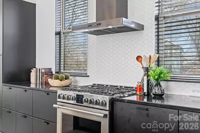 435 Steel Gardens Boulevard, Charlotte, NC 28205 - Photo 6