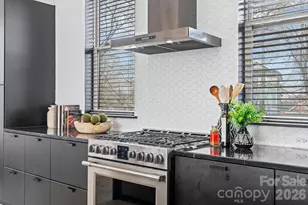 435 Steel Gardens Blvd, Charlotte, NC 28205 - Photo 6