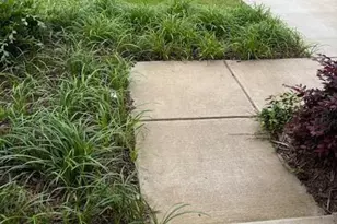 9122 Widden Wy, Charlotte, NC 28269 - Photo 6