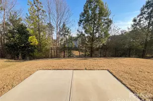 324 Praline Wy, Fort Mill, SC 29715 - Photo 10