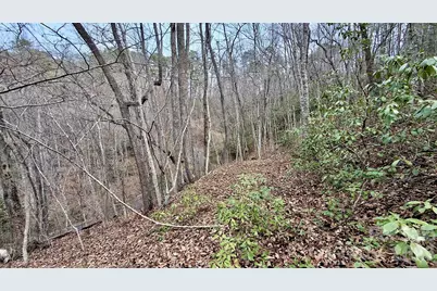 0 Hollywalk Trail #4, Sylva, NC 28779 - Photo 12