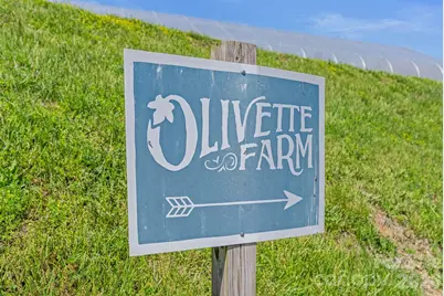 13 Tulip Poplar Trail, Asheville, NC 28804 - Photo 40