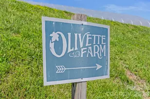 13 Tulip Poplar Trl, Asheville, NC 28804 - Photo 40