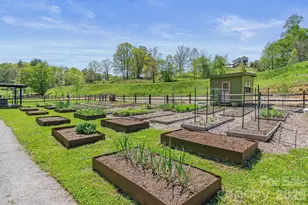 13 Tulip Poplar Trl, Asheville, NC 28804 - Photo 44