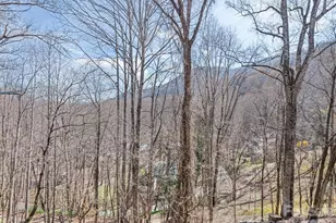 37 George Cir, Maggie Valley, NC 28751 - Photo 38