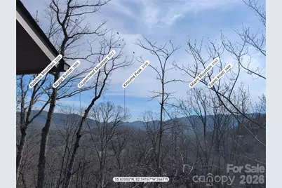 195 Prospectors Trail, Black Mountain, NC 28711 - Photo 48