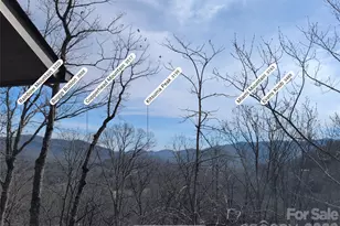 195 Prospectors Trl, Black Mountain, NC 28711 - Photo 48