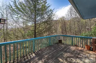 195 Prospectors Trl, Black Mountain, NC 28711 - Photo 32