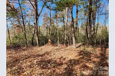 0 Sparrows Way #46, Lake Lure, NC 28746 - Photo 2
