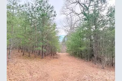 1266 Old Lincolnton Crouse Road, Crouse, NC 28033 - Photo 22