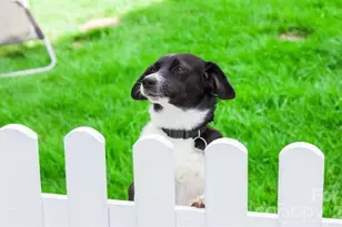 7639 Griffins Gate Dr SW, Concord, NC 28025 - Photo 16