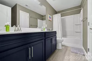 11004 Larkslea Ln, Charlotte, NC 28278 - Photo 30