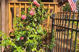 6880 Shade Tree Ln, Sherrills Ford, NC 28673 - Photo 48