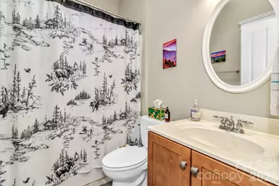 12 Hoolet Court, Candler, NC 28715 - Photo 32