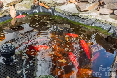 35047 Carnation Lane, Fort Mill, SC 29707 - Photo 32