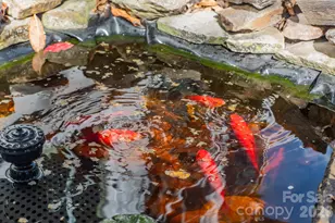 35047 Carnation Ln, Fort Mill, SC 29707 - Photo 32