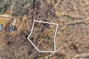 99999 Rose Hill Rd, Asheville, NC 28803 - Photo 1