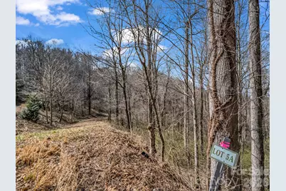 99999 Rose Hill Road, Asheville, NC 28803 - Photo 20