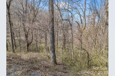 99999 Rose Hill Road, Asheville, NC 28803 - Photo 16