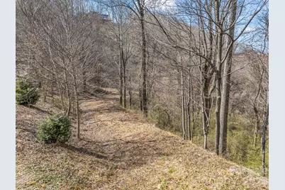 99999 Rose Hill Road, Asheville, NC 28803 - Photo 14