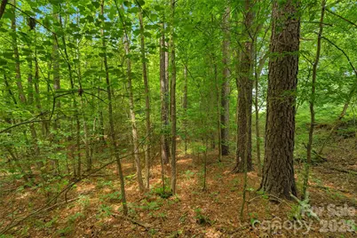 0000 Lucy Short Cut Road #2, Marshville, NC 28103 - Photo 18