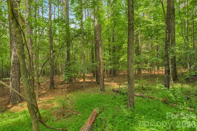 0000 Lucy Short Cut Road #2, Marshville, NC 28103 - Photo 14