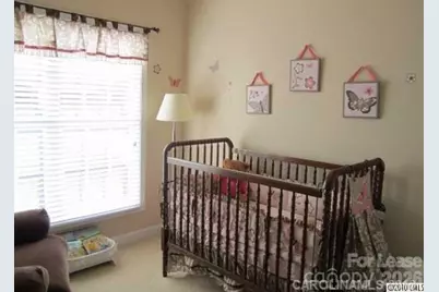 16934 Summers Walk Boulevard, Davidson, NC 28036 - Photo 10