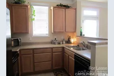 16934 Summers Walk Boulevard, Davidson, NC 28036 - Photo 6