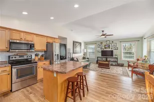 20 Golden Tree Ln, Asheville, NC 28806 - Photo 12