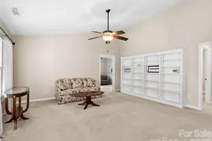 234 Rocky Mountain Way, Arden, NC 28704 - Photo 4