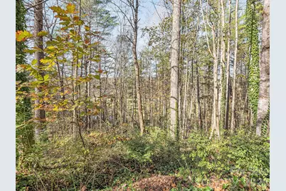 Lot 15 Mountain Lakes Drive #15, Hendersonville, NC 28739 - Photo 6