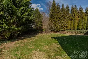 50 S Griffing Blvd, Asheville, NC 28804 - Photo 4