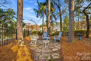 17206 Players Ridge Dr, Cornelius, NC 28031 - Photo 44