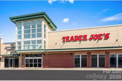 1038 Bella Grove Lane, Charlotte, NC 28262 - Photo 14