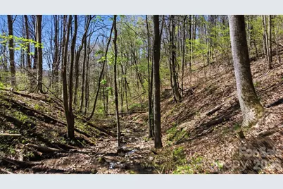 1837 E Alarka Road, Bryson City, NC 28713 - Photo 18