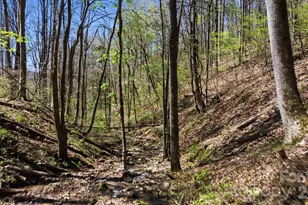 1837 E Alarka Rd, Bryson City, NC 28713 - Photo 18