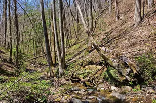 1837 E Alarka Rd, Bryson City, NC 28713 - Photo 12