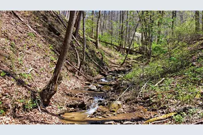 1837 E Alarka Road, Bryson City, NC 28713 - Photo 14