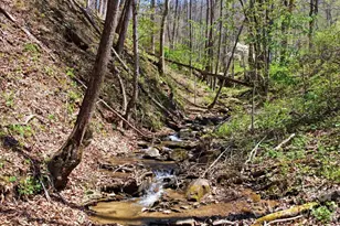 1837 E Alarka Rd, Bryson City, NC 28713 - Photo 14