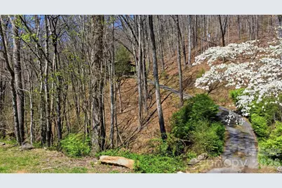 1837 E Alarka Road, Bryson City, NC 28713 - Photo 36