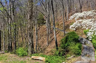 1837 E Alarka Rd, Bryson City, NC 28713 - Photo 36