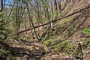 1837 E Alarka Rd, Bryson City, NC 28713 - Photo 10