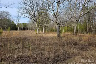 1450 St Lukes Church Rd, Salisbury, NC 28146 - Photo 1