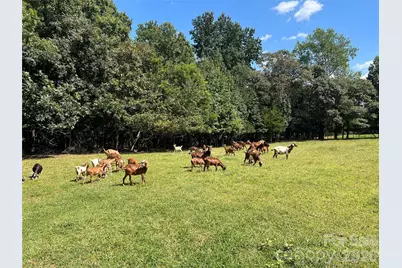 1301 Double Springs Church Road, Shelby, NC 28150 - Photo 24