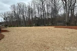 130 McNeil Ln, Mooresville, NC 28117 - Photo 48